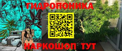 прущие крисы Нальчик