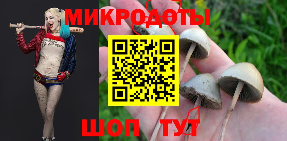 Верхняя Пышма  Псилоцибиновые грибы мухоморы  Вход с VPN 