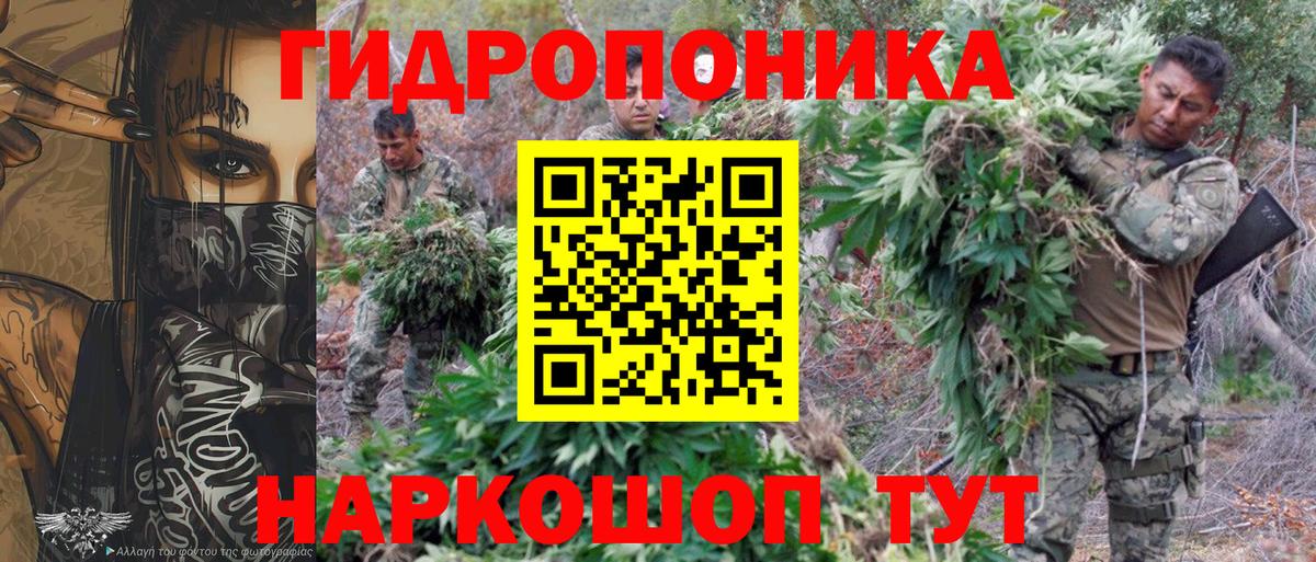 Бошки Шишки индика Верхняя Пышма